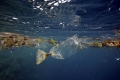Un meccanismo misterioso sta ripulendo i mari dalla plastica?