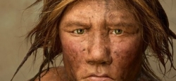 I Neanderthal vivevano in piccole popolazioni isolate