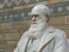 I fossili di Darwin: un viaggio 3D alla scoperta di una storia lontana