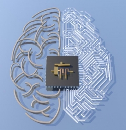 Memtransistor per computer che lavorino come un cervello umano