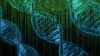 Un computer fatto di DNA