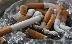 La nicotina può abbassare la soglia per la dipendenza da sostanze come la cannabis