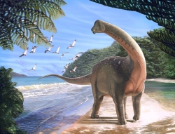 Scoperti i resti di un titanosauro in Egitto. Nuova luce sulle migrazioni e sulla fine dei dinosauri
